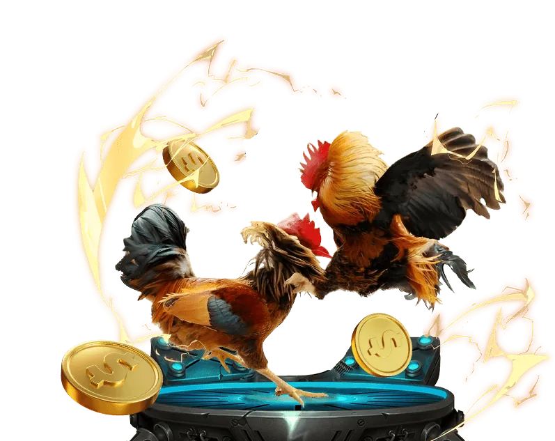 Người chơi đang sử dụng máy tính để đặt giới hạn cá cược